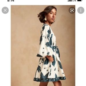 Banana Republic Butterfly Linen mini Dress